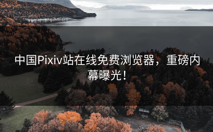 中国Pixiv站在线免费浏览器，重磅内幕曝光！