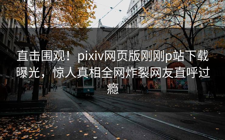 直击围观！pixiv网页版刚刚p站下载曝光，惊人真相全网炸裂网友直呼过瘾