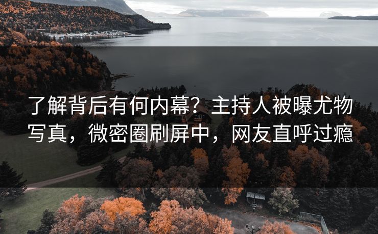 了解背后有何内幕？主持人被曝尤物写真，微密圈刷屏中，网友直呼过瘾