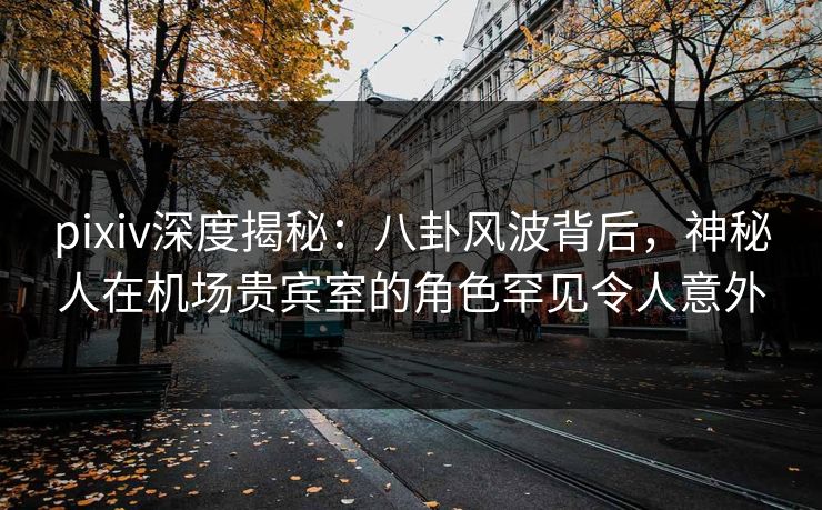 pixiv深度揭秘：八卦风波背后，神秘人在机场贵宾室的角色罕见令人意外