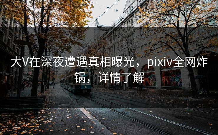 大V在深夜遭遇真相曝光，pixiv全网炸锅，详情了解