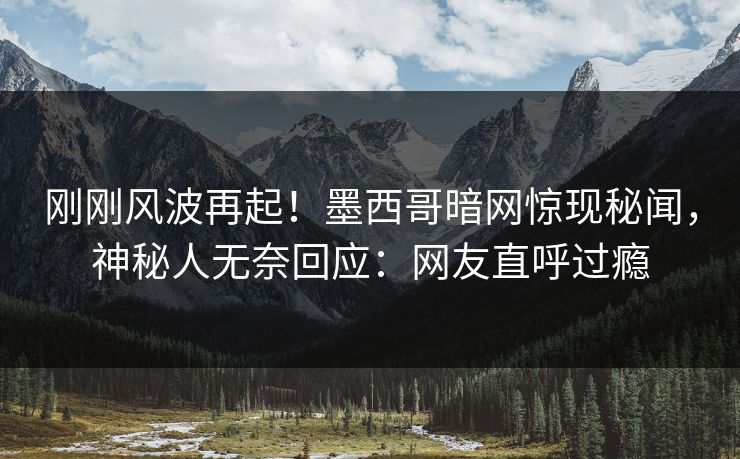 刚刚风波再起！墨西哥暗网惊现秘闻，神秘人无奈回应：网友直呼过瘾