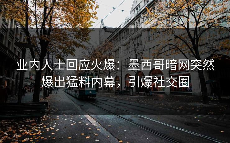 业内人士回应火爆：墨西哥暗网突然爆出猛料内幕，引爆社交圈