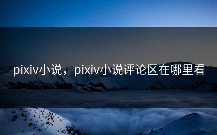 pixiv小说，pixiv小说评论区在哪里看