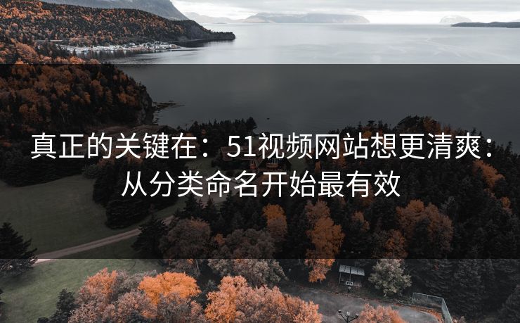 真正的关键在：51视频网站想更清爽：从分类命名开始最有效